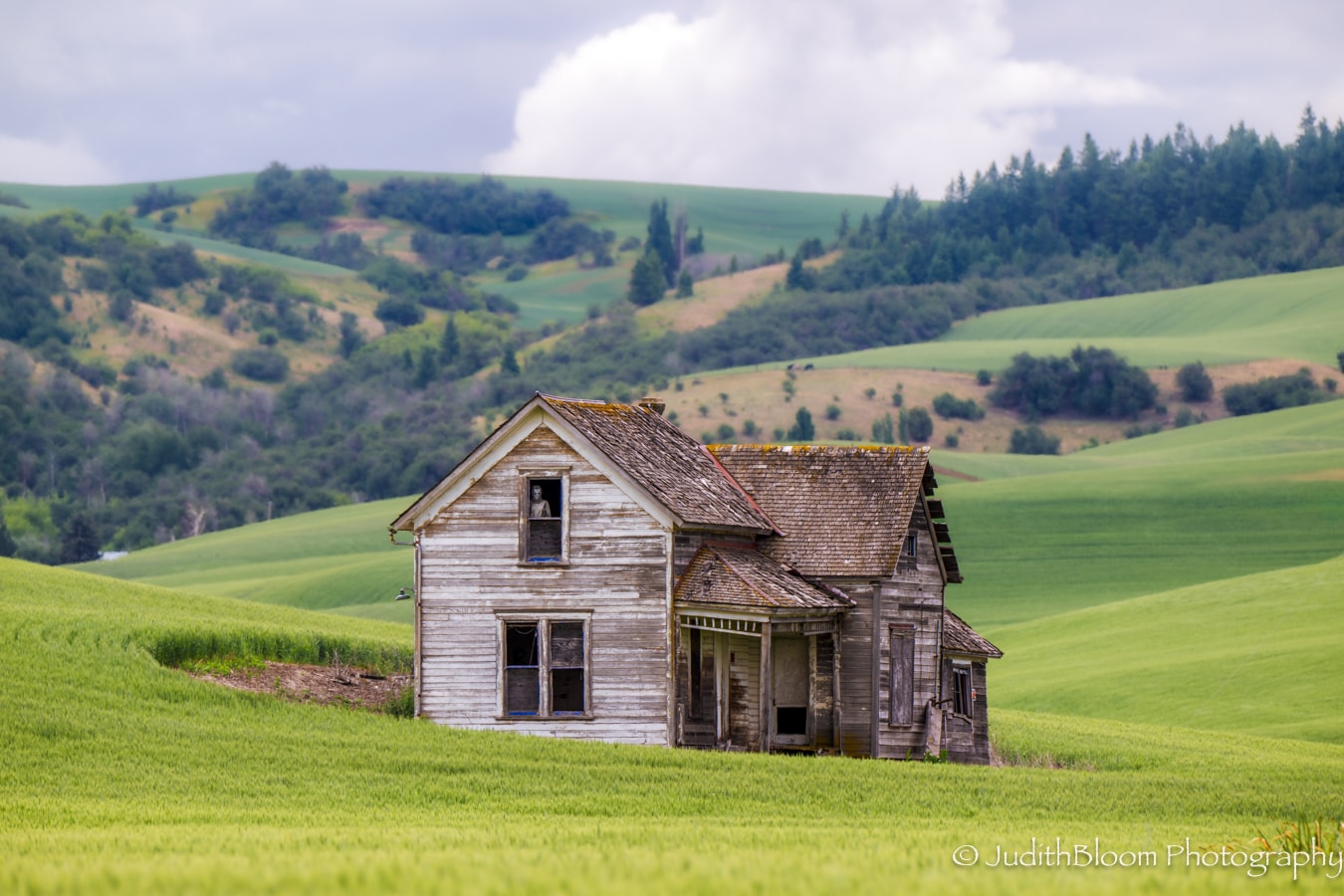 The Old Weber House — an abandoned farmhouse stands alone in lush green Palouse hills under a cloudy sky