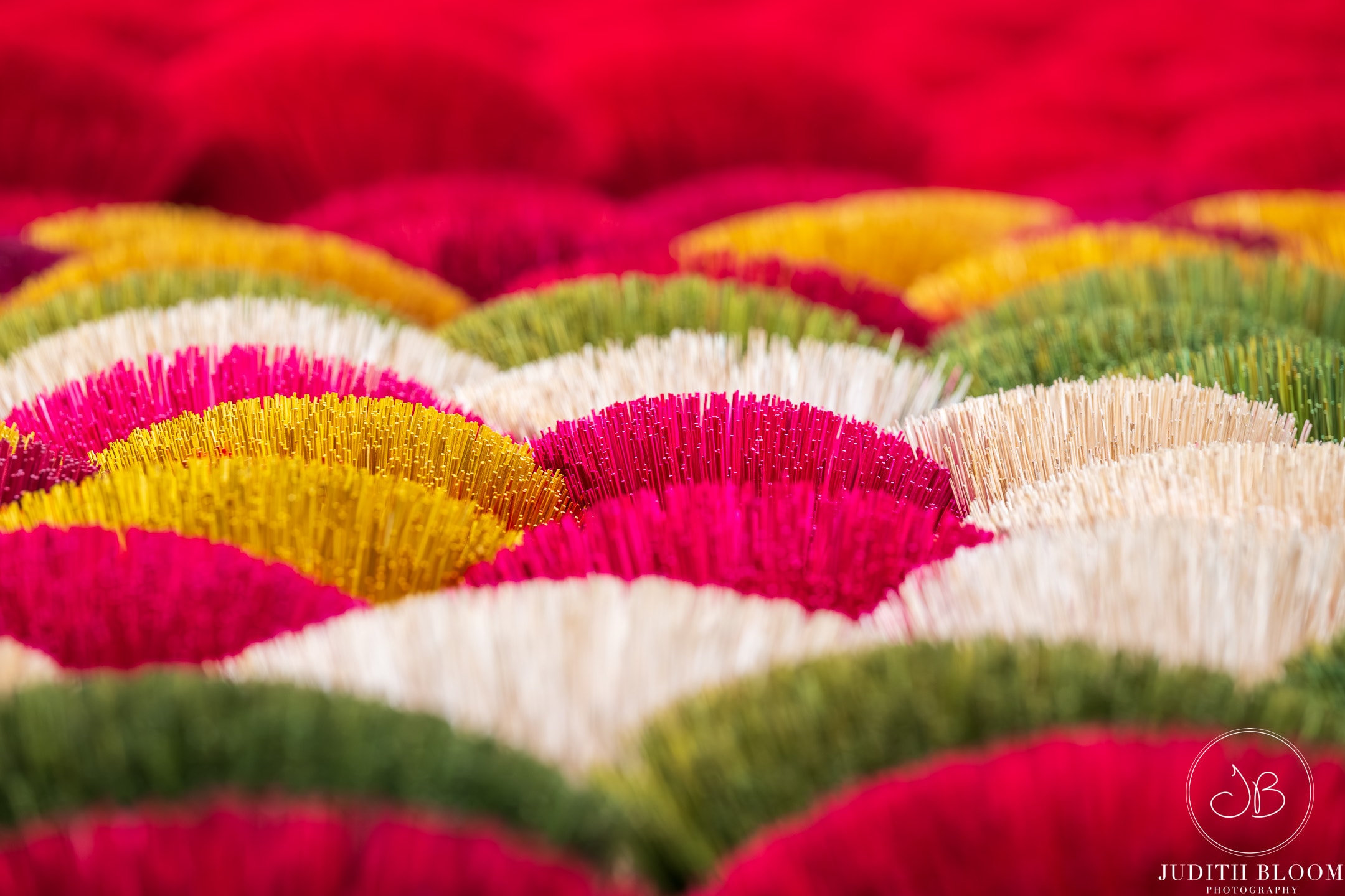 Close-up of colourful incense sticks fanned out in scalloped arcs of pink, yellow, green and white