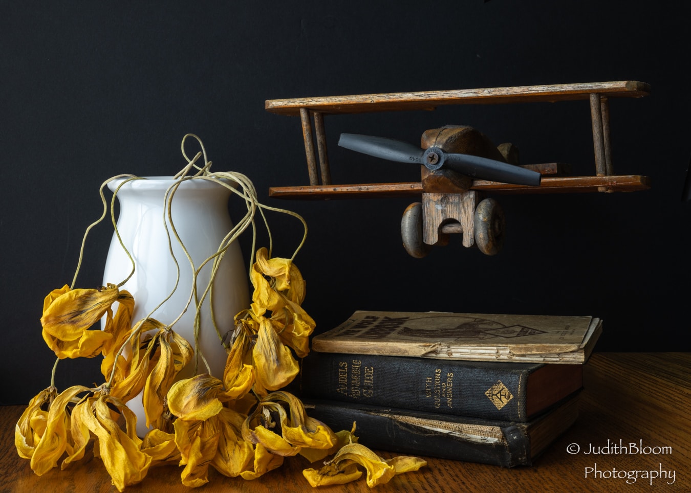 The Things He Left Behind — dried sunflowers, white pitcher, vintage books and a wooden toy biplane